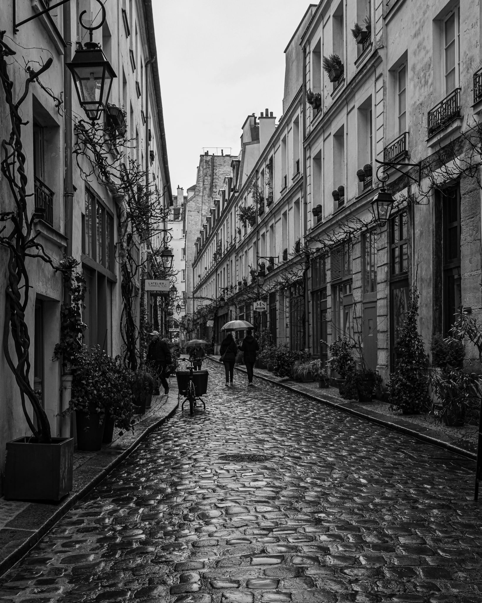 Street Photograhy